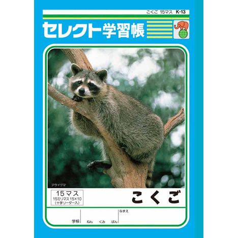 Ｂ５こくご１５マス（十字リーダー）Ｋ１３の商品画像