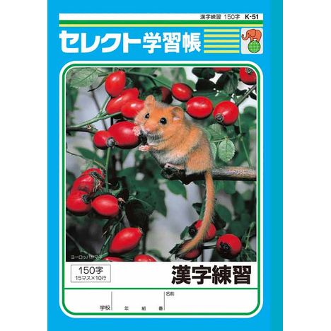 Ｂ５漢字練習１５０字　Ｋ－５１の商品画像